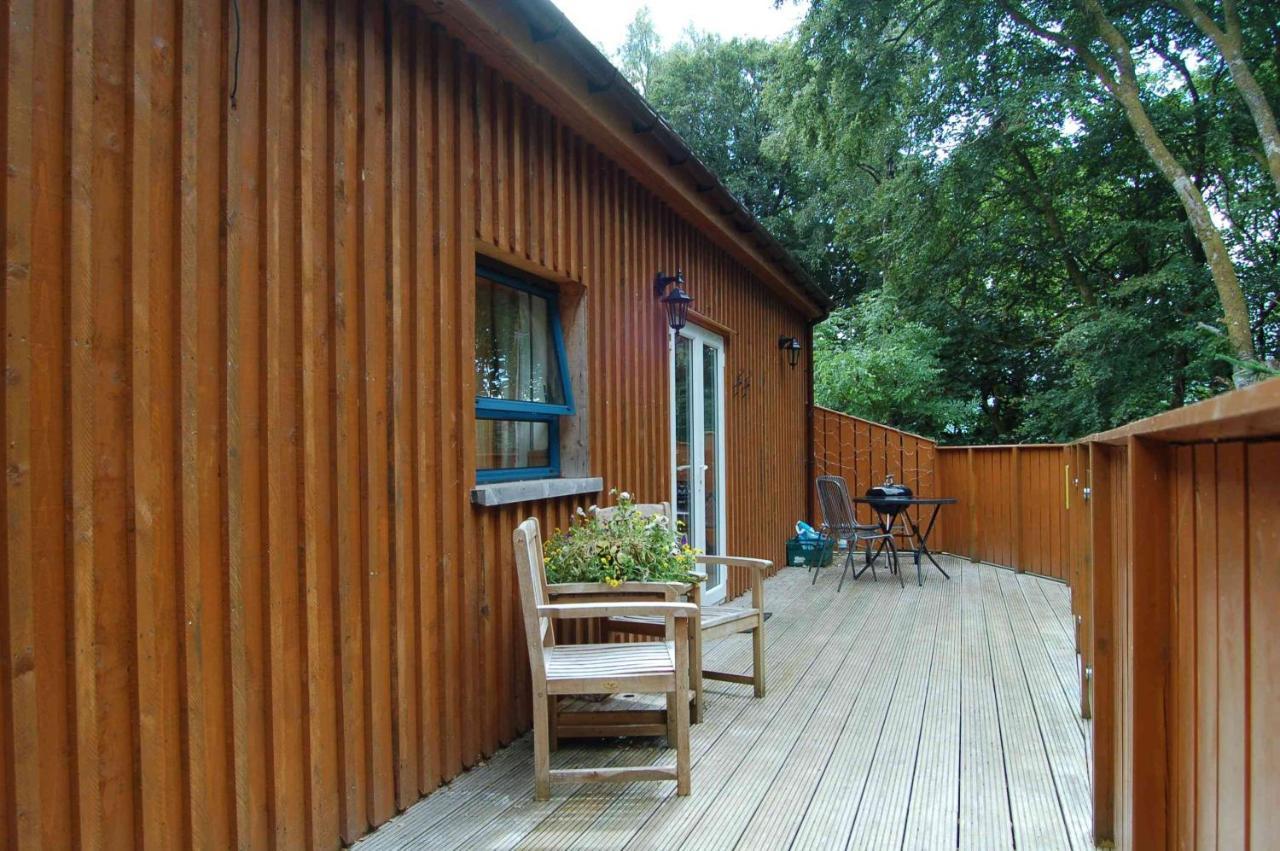 Lodge Waterfall - Private Waterfall And Sauna *